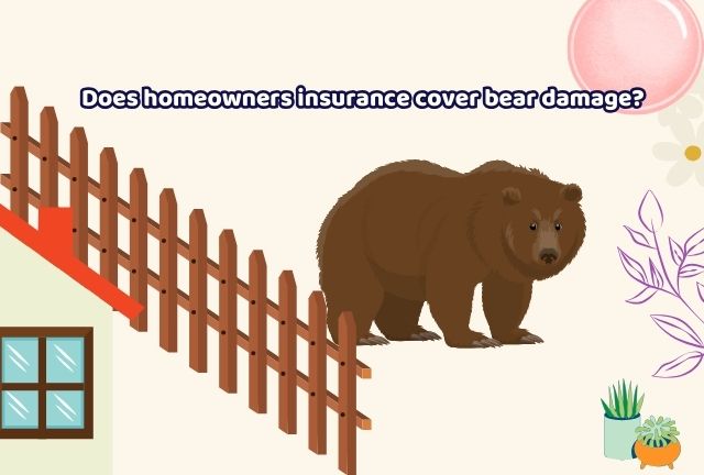 Bear-proofing Your Home and Your Homeowners Insurance